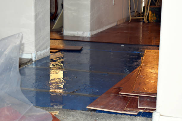 Professional Flood Cleanup technician working in Henlawson, WV